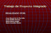 Trabajo de Proyecto Integrado REALIZADO POR: -Juan Manuel de la Flor Lillo -Lucia Bellido Barreno -Maria Motos Aragón -Maria González Muñoz.
