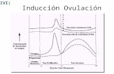Inducción Ovulación IVI). Tratamientos de esterilidad Inducción Ovulación IAH / IAD TRA: Fecundación in vitro (FIV) –Con microinyección de spz (ICSI)
