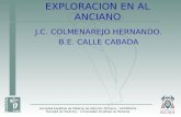 EXPLORACION EN AL ANCIANO J.C. COLMENAREJO HERNANDO. B.E. CALLE CABADA.
