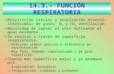 14.3.- FUNCIÓN RESPIRATORIA Respiración celular y respiración externa: Intercambio de gases: O 2 y CO 2 Ventilación. Necesidad de captar el otro nutriente.