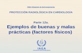IAEA International Atomic Energy Agency Parte 12a. Ejemplos de buenas y malas prácticas (factores físicos) OIEA Material de Entrenamiento PROTECCIÓN RADIOLÓGICA.