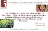 Los efectos del proceso migratorio en los niños, niñas y adolescentes indígenas guatemaltecos que van a trabajar a México: el caso de los Mames de El Naranjo.