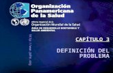 Http://www.paho.org DEFINICIÓN DEL PROBLEMA CAPÍTULO 3.
