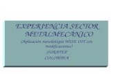 EXPERIENCIA SECTOR METALMECÁNICO (Aplicación metodología WISE OIT con modificaciones) SURATEP COLOMBIA.