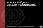 Pueblos indígenas y tribales |  |  Pueblos indígenas: consulta y participación.