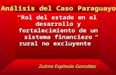 Rol del estado en el desarrollo y fortalecimiento de un sistema financiero rural no excluyente Zulma Espínola González Análisis del Caso Paraguayo.