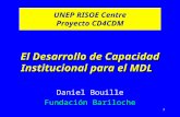 1 El Desarrollo de Capacidad Institucional para el MDL Daniel Bouille Fundación Bariloche UNEP RISOE Centre Proyecto CD4CDM.