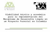 Viabilidad técnica y económica para la Implementación del Mecanismo de Desarrollo Limpio en un Proyecto Forestal en Colombia.
