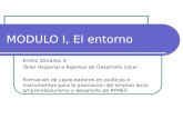 MODULO I, El entorno Emilio Zevallos V. Taller Regional a Agentes de Desarrollo Local Formación de capacitadores en políticas e instrumentos para la promoción.