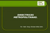 DIRECTRICES METROPOLITANAS. Por: Bach. Geog. Christian Núñez Solís.