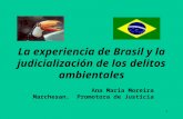 1 La experiencia de Brasil y la judicialización de los delitos ambientales Ana Maria Moreira Marchesan, Promotora de Justicia.