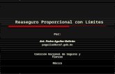 Reaseguro Proporcional con Límites Por: Act. Pedro Aguilar Beltrán paguilar@cnsf.gob.mx Comisión Nacional de Seguros y Fianzas México.