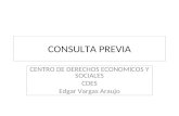 CONSULTA PREVIA CENTRO DE DERECHOS ECONOMICOS Y SOCIALES CDES Edgar Vargas Araujo.