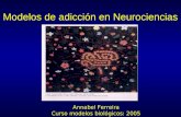 Modelos de adicción en Neurociencias Annabel Ferreira Curso modelos biológicos: 2005.