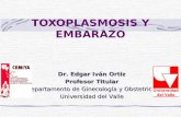 TOXOPLASMOSIS Y EMBARAZO Dr. Edgar Iván Ortiz Profesor Titular Departamento de Ginecología y Obstetricia Universidad del Valle.