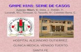 GRIPE H1N1: SERIE DE CASOS Autores: Mauri, V.; Desa, J.; Roldán, P.; Lucarelli, M.L.;Torresan, G; Tassello, M.; Colombo Berra, C. HOSPITAL ALEJANDRO GUTIERREZ.