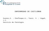 ENFERMEDAD DE CASTLEMAN Suarez,G. ; Chafloque,A.; Tassi, V. ; Vogel, J.C. Servicio de Patología.