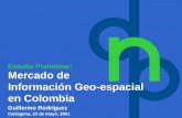 Guillermo Rodríguez Mercado de Información Geo-espacial en Colombia Cartagena, 23 de mayo, 2001 Estudio Preliminar: