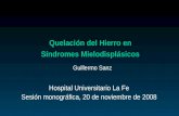 Quelación del Hierro en Síndromes Mielodisplásicos Hospital Universitario La Fe Sesión monográfica, 20 de noviembre de 2008 Guillermo Sanz.