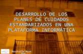 DESARROLLO DE LOS PLANES DE CUIDADOS ESTANDARIZADOS EN UNA PLATAFORMA INFORMÁTICA Moratalla Mayo 2006.