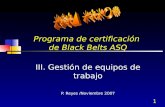 1 Programa de certificación de Black Belts ASQ III. Gestión de equipos de trabajo P. Reyes /Noviembre 2007.