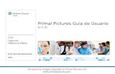 Ovid Training Department 2011 Primal Pictures Guia de Usuario (v.1.3) 3D anatomy images copyright of Primal Pictures Ltd .