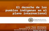 El derecho de los pueblos indígenas en el plano internacional Luis Toro Utillano Departamento de Derecho Internacional Secretaría General de la Organización.