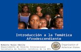 Introducción a la Temática Afrodescendiente Roberto Rojas Dávila Departamento de Derecho Internacional Secretaría de Asuntos Jurídicos de la OEA.