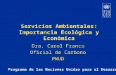 Programa de las Naciones Unidas para el Desarrollo Servicios Ambientales: Importancia Ecológica y Económica Dra. Carol Franco Oficial de Carbono PNUD.