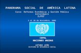 CEPAL NACIONES UNIDAS PANORAMA SOCIAL DE AMÉRICA LATINA ARTURO LEÓN DIVISIÓN DE DESARROLLO SOCIAL Curso Reformas Económicas y Gestión Pública Estratégica.
