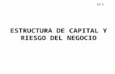 11-1 ESTRUCTURA DE CAPITAL Y RIESGO DEL NEGOCIO. 11-2.