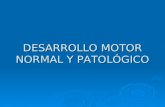 DESARROLLO MOTOR NORMAL Y PATOLÓGICO. Desarrollo Motor Normal Desarrollo Motor Normal Recién nacido Flexión fisiológica Flexión fisiológica Reacciones.