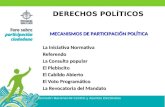 DERECHOS POLÍTICOS Comisión Nacional de Control y Asuntos Electorales MECANISMOS DE PARTICIPACIÓN POLÍTICA La Iniciativa Normativa Referendo La Consulta.