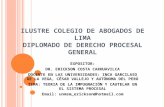 ILUSTRE COLEGIO DE ABOGADOS DE LIMA DIPLOMADO DE DERECHO PROCESAL GENERAL EXPOSITOR: DR. ERICKSON COSTA CARHUAVILCA DOCENTE EN LAS UNIVERSIDADES: INCA.