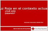 Cruz Roja en el contexto actual ¿Qué está pasando? Encuentro Autonómico Madrid 2012.