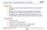 Universidad Politécnica de Valencia Ampliación de Motores de Combustión Tema 5b.- Combustión en MEC1 Tema 5b. Combustión en MEC Objetivos Conocer cómo.