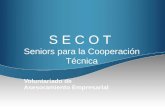 Voluntariado de Asesoramiento Empresarial S E C O T Seniors para la Cooperación Técnica.
