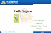 Ciencias Sociales Geografía Educación Moral y Cívica El tránsito Calle Segura.