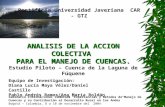 ANALISIS DE LA ACCION COLECTIVA PARA EL MANEJO DE CUENCAS. Estudio Piloto – Cuenca de la Laguna de Fúquene Equipo de Investigación: Diana Lucía Maya Vélez/Daniel.