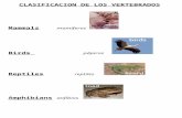 science, vertebrados e invertebrados, tema 4º primaria