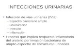 INFECCIONES URINARIAS Infección de vías urinarias (IVU) –Espectro bacteriano amplio –Colonización –Invasión –Inflamación Proceso que implica respuesta.