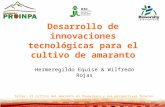 Desarrollo de innovaciones tecnológicas para el cultivo de amaranto Hermeregildo Equise & Wilfredo Rojas Taller: El cultivo del amaranto en Chuquisaca.