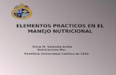 ELEMENTOS PRACTICOS EN EL MANEJO NUTRICIONAL Silvia M. Velandia Ardila Nutricionista Msc. Pontificia Universidad Catolica de Chile.