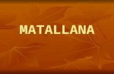 MATALLANA. La Finca Coto Bajo de Matallana ofrece a sus visitantes un equipamiento en el que pueden valorar y reconocer la riqueza medioambiental de su.