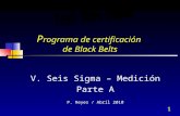 1 P rograma de certificación de Black Belts V. Seis Sigma – Medición Parte A P. Reyes / Abril 2010.