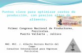 Primer Congreso Nacional de Productores, Porcícolas. Puerto Vallarta, Jalisco MAE. MVZ. J. Alberto Herrera Martin del Campo Consultor Internacional para.
