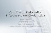 Caso Clínico: Endocarditis infecciosa sobre válvula nativa Aida Acín Labarta Cristina Goena Vives Amaia Ibarra Gutiérrez Servicio de Cardiología. Hospital.