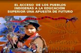 EL ACCESO DE LOS PUEBLOS INDÍGENAS A LA EDUCACIÓN SUPERIOR UNA APUESTA DE FUTURO UAIIN Universidad Autónoma Indígena Intercultural.