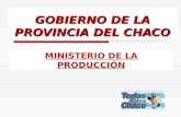 GOBIERNO DE LA PROVINCIA DEL CHACO MINISTERIO DE LA PRODUCCIÓN.