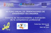 XII FORO ANUAL DE ORIENTADORES DE ENSEÑANZA SECUNDARIA Sistema de reconocimiento y evaluación de la competencia profesional Catarroja, febrero de 2009.